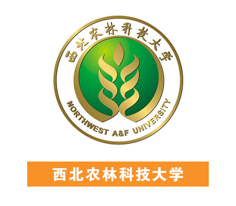 太阳集团见好就收9728(中国区)官方网站-SunCityGroup